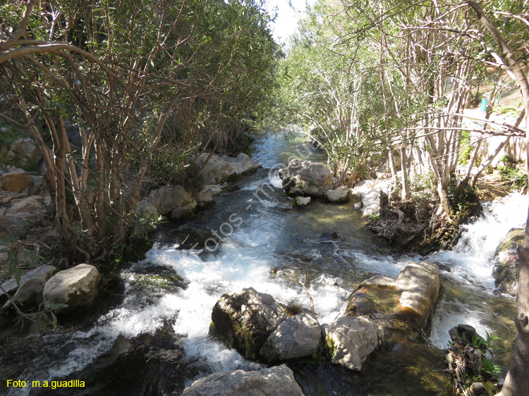 FUENTES DEL ALGAR (117)