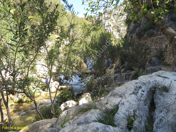 FUENTES DEL ALGAR (118)