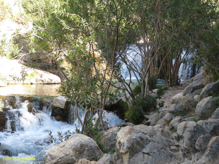 FUENTES DEL ALGAR (119)