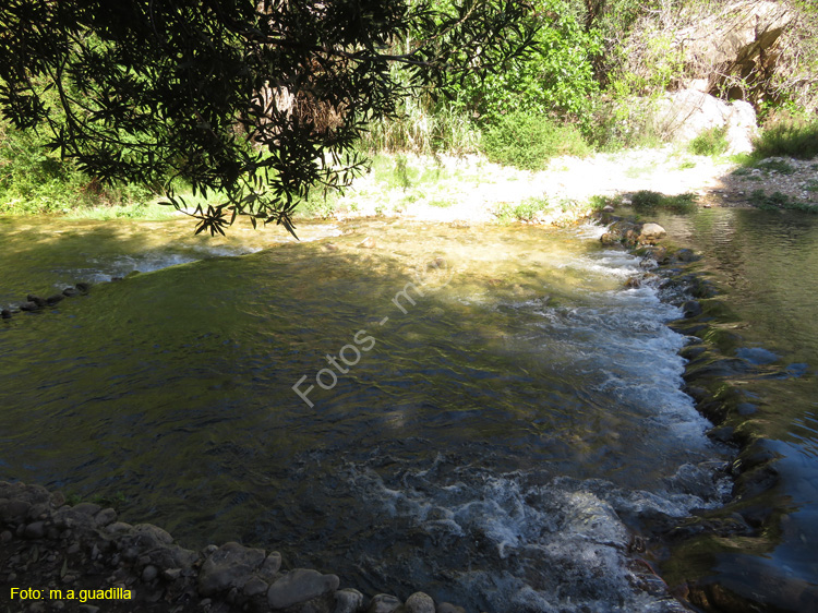 FUENTES DEL ALGAR (121)