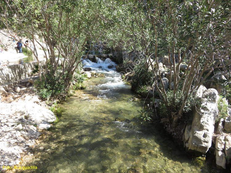 FUENTES DEL ALGAR (122)