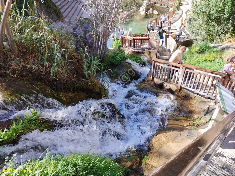 FUENTES DEL ALGAR (132)
