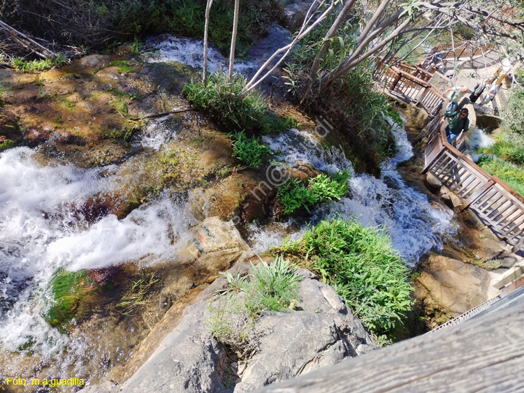 FUENTES DEL ALGAR (133)