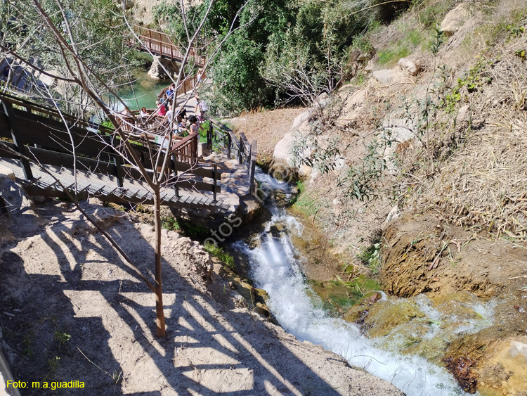 FUENTES DEL ALGAR (138)