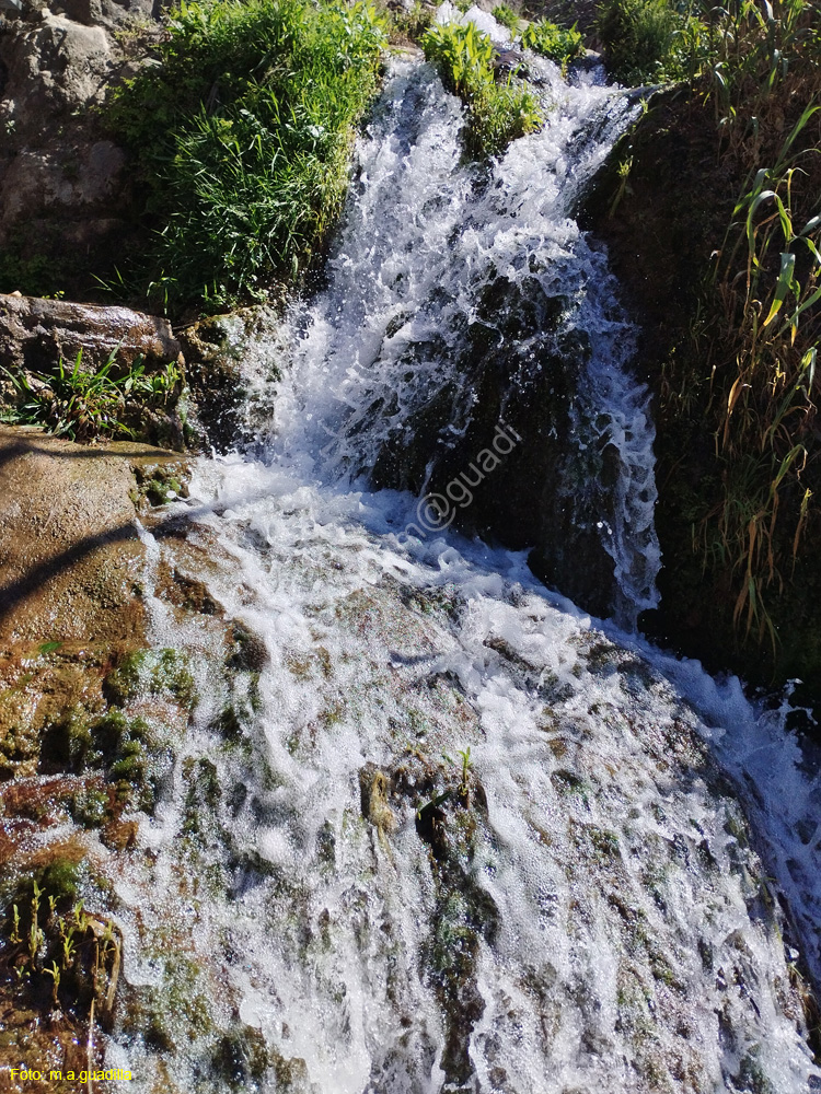 FUENTES DEL ALGAR (139)