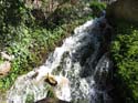 FUENTES DEL ALGAR (107)