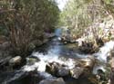 FUENTES DEL ALGAR (117)