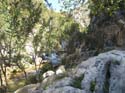 FUENTES DEL ALGAR (118)