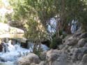 FUENTES DEL ALGAR (119)