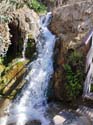FUENTES DEL ALGAR (131)