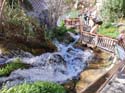 FUENTES DEL ALGAR (132)