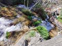 FUENTES DEL ALGAR (133)