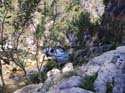 FUENTES DEL ALGAR (136)