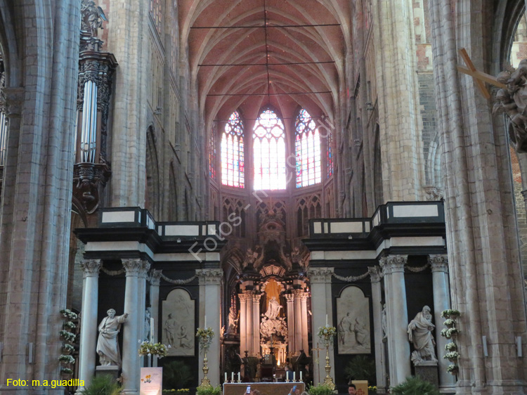 GANTE (131) Catedral de San Bavon