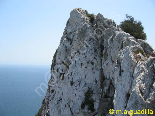 GIBRALTAR 049