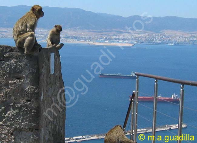 GIBRALTAR 059