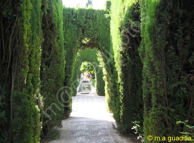 GRANADA 114 Alhambra - Generalife