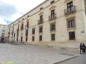 GUADALAJARA (111) Palacio del Infantado