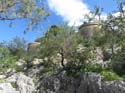 GUADALEST (144) Castillo de San Jose
