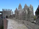 GUIMARAES (110) Castillo