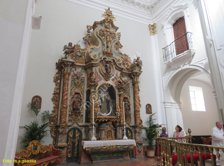 Huelva (112) Catedral