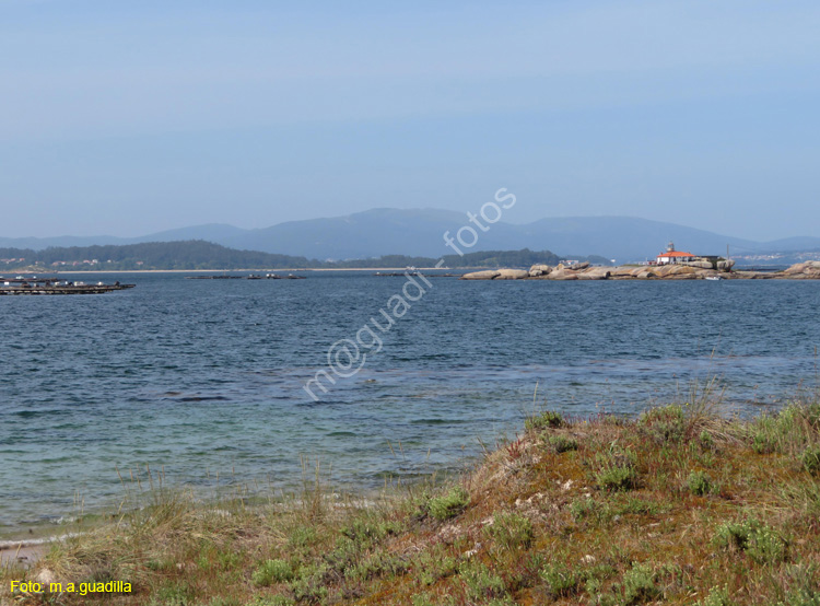 ISLA DE AROSA (111)