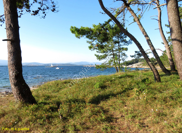 ISLA DE AROSA (114)