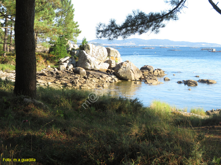 ISLA DE AROSA (115)