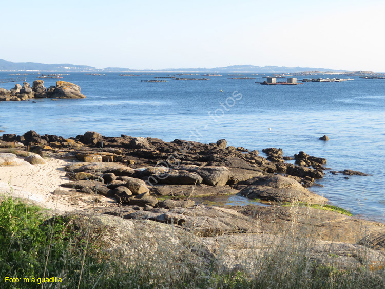 ISLA DE AROSA (117)