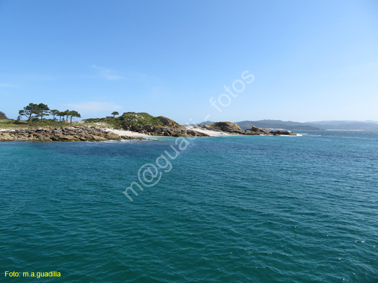 Islas Cies (103)