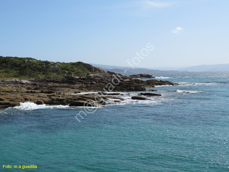 Islas Cies (105)