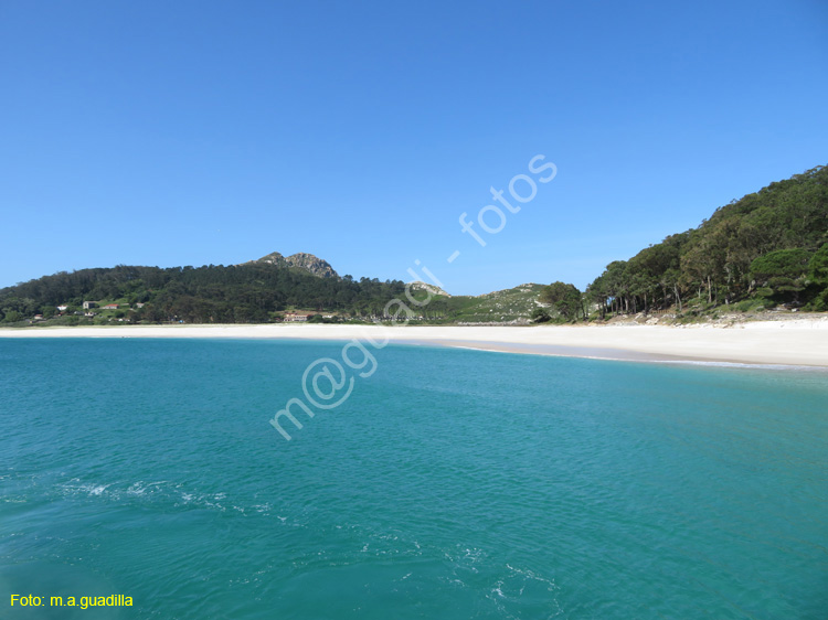 Islas Cies (108)