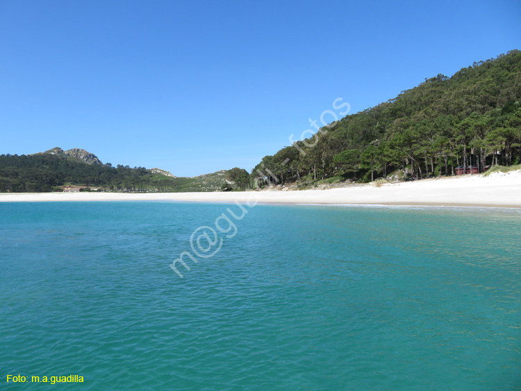 Islas Cies (109)