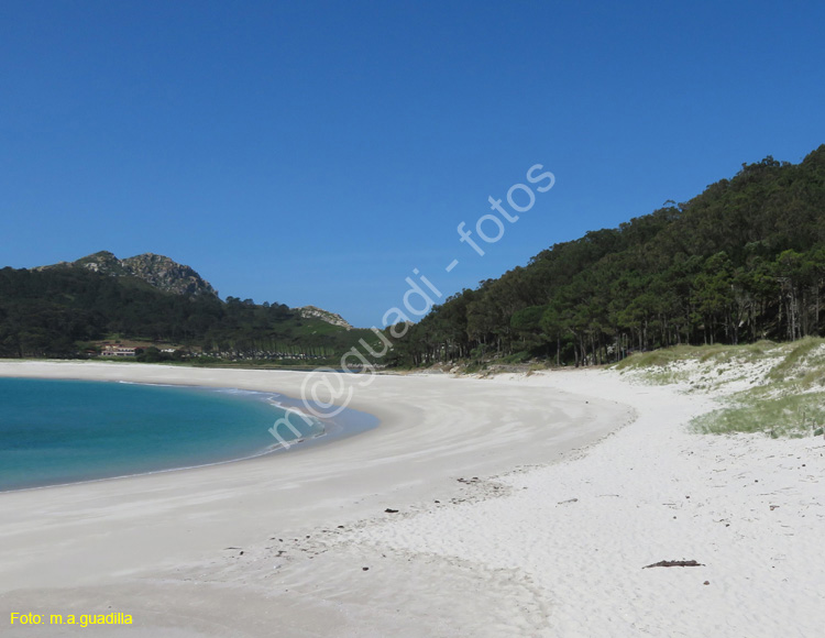 Islas Cies (111)