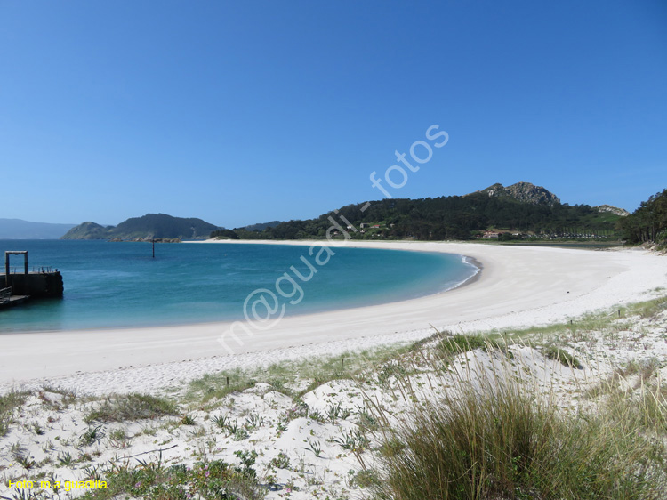 Islas Cies (113)