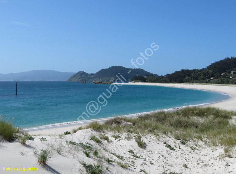 Islas Cies (115)