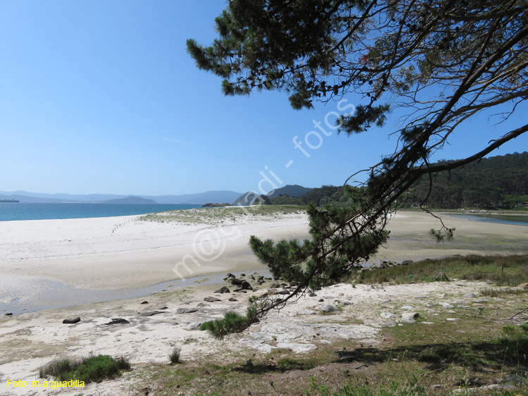 Islas Cies (118)