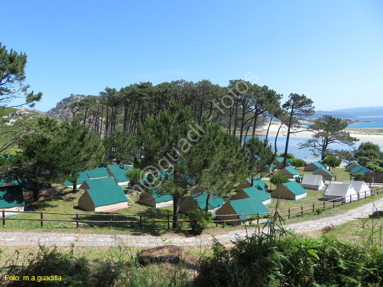 Islas Cies (126)