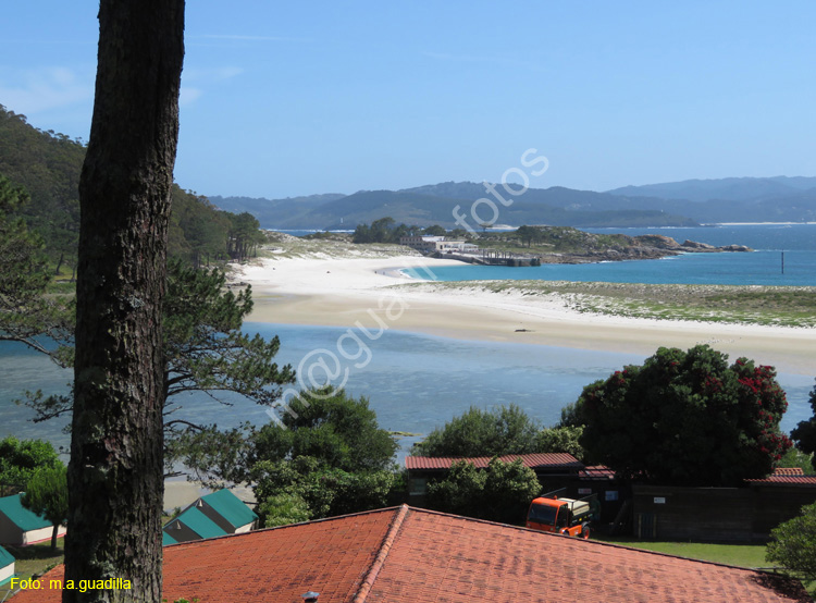 Islas Cies (127)