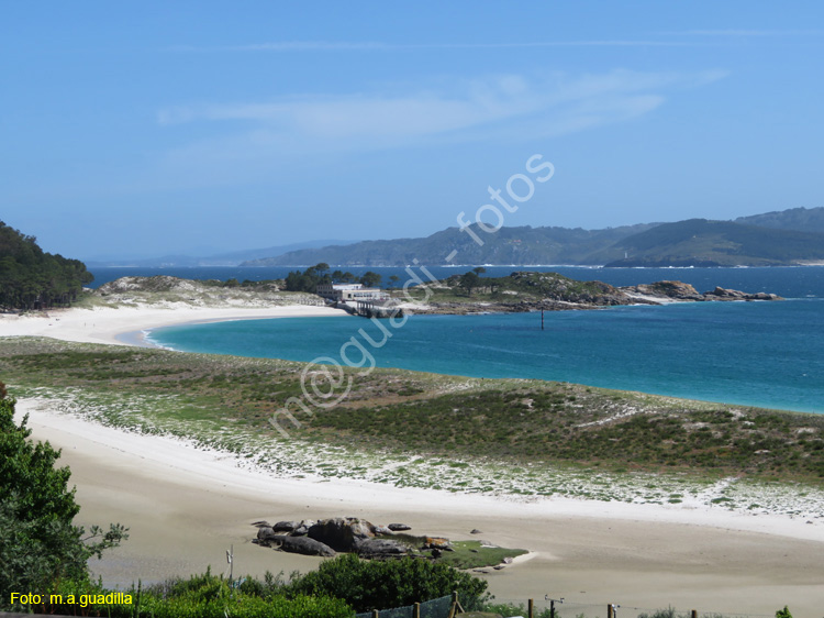 Islas Cies (128)