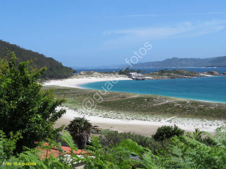 Islas Cies (129)