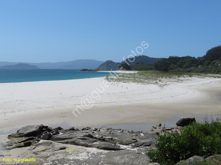 Islas Cies (135)