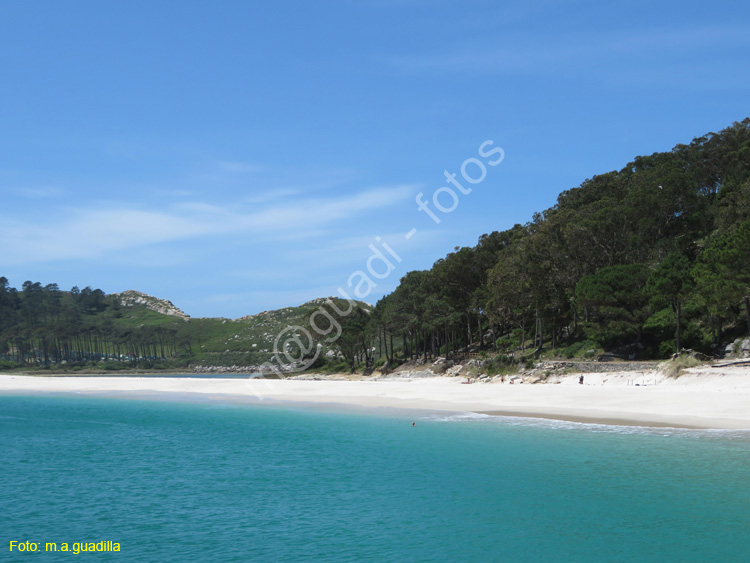 Islas Cies (136)