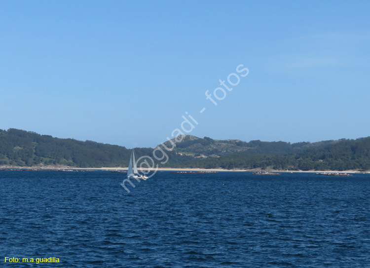 Islas Cies (145) Trayecto ida