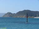 Islas Cies (107)