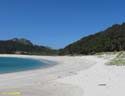 Islas Cies (111)