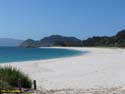 Islas Cies (116)