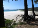 Islas Cies (117)