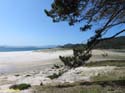 Islas Cies (118)