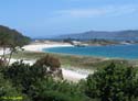 Islas Cies (131)